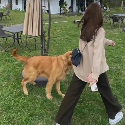 伦敦声色