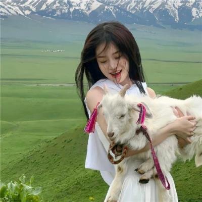 李卫当官3